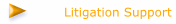 Litigation Support