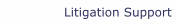 Litigation Support